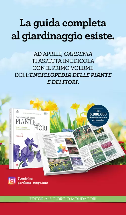 La guida completa al giardinaggio esiste.