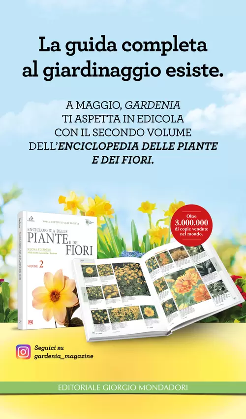 La guida completa al giardinaggio esiste.