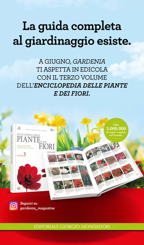 La guida completa al giardinaggio esiste.