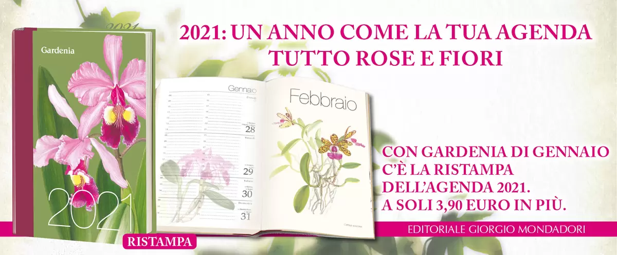 2021: UN ANNO COME LA TUA AGENDA TUTTO ROSE E FIORI