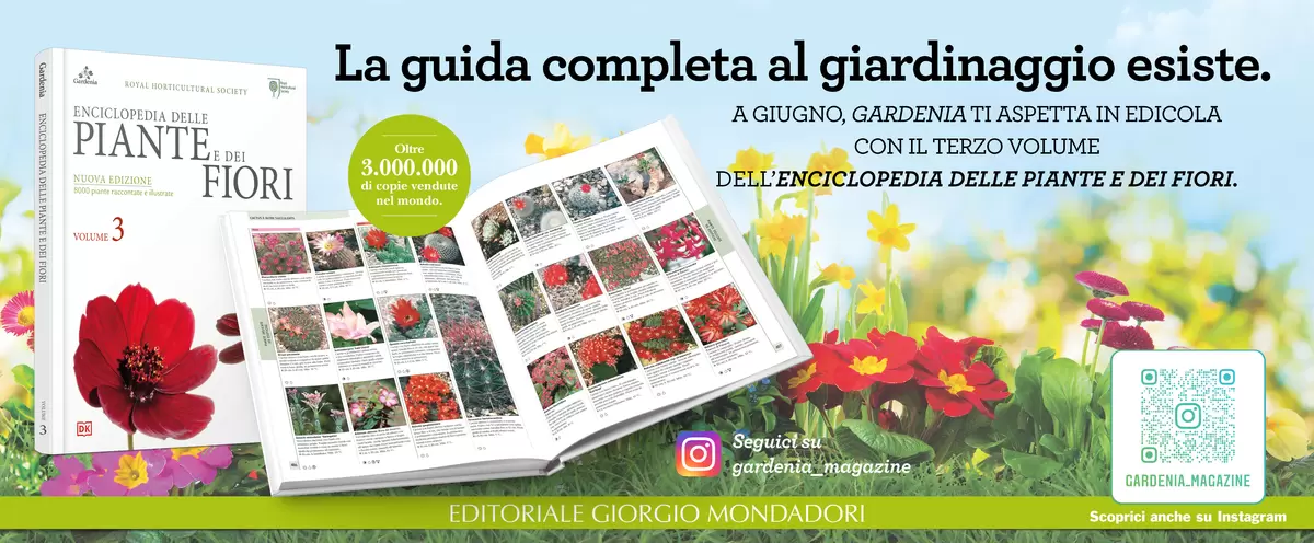 La guida completa al giardinaggio esiste.