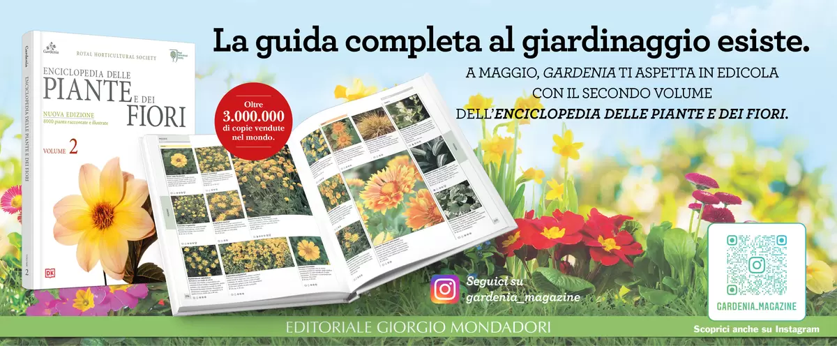 La guida completa al giardinaggio esiste.