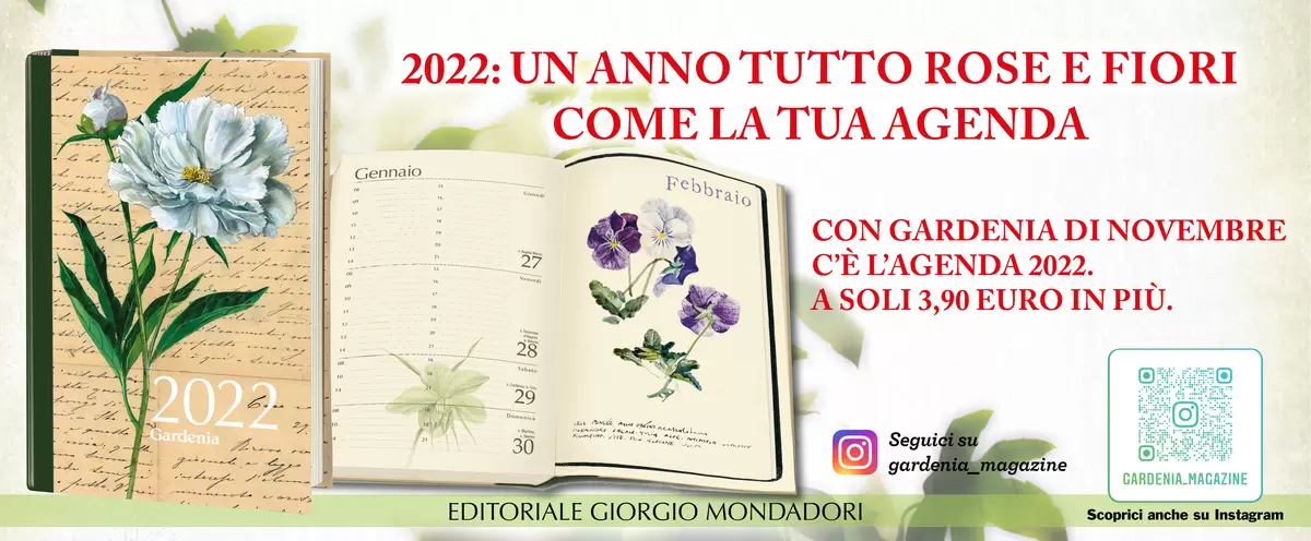 2022: UN ANNO TUTTO ROSE E FIORI COME LA TUA AGENDA