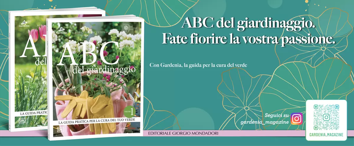 ABC del giardinaggio. Fate fiorire la vostra passione.