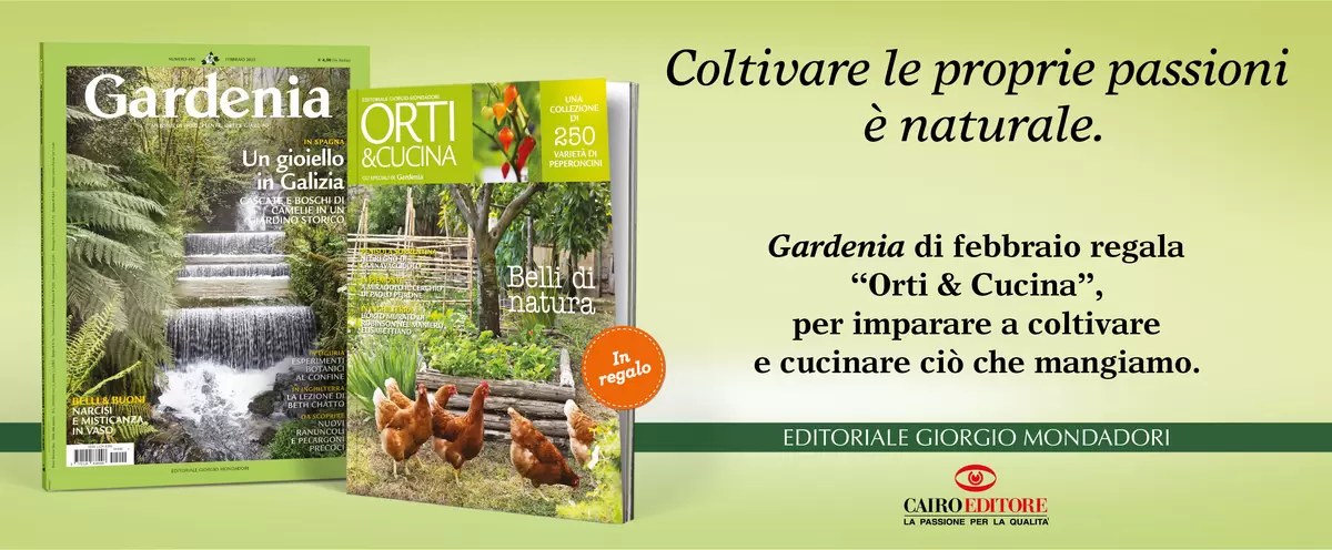 Coltivare le proprie passioni è naturale.